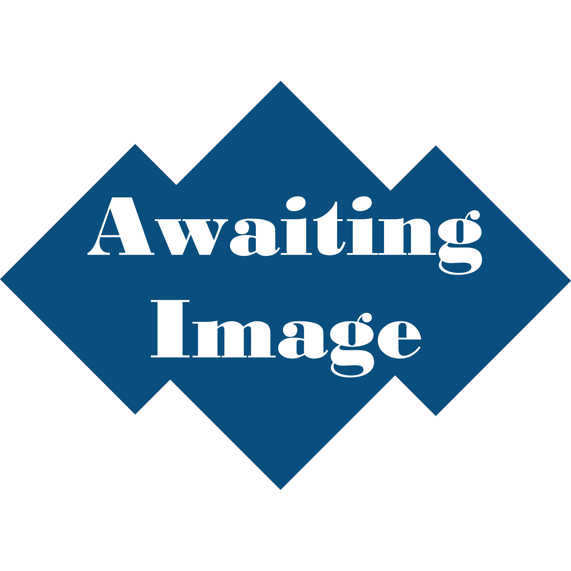 Awaiting Image