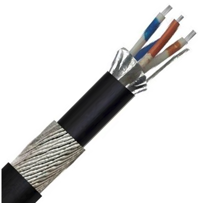 Belden Equivalent OFB2 2 Pair 24AWG Overall Foil and Braid Screen SWA 600V PE (9842) Cable