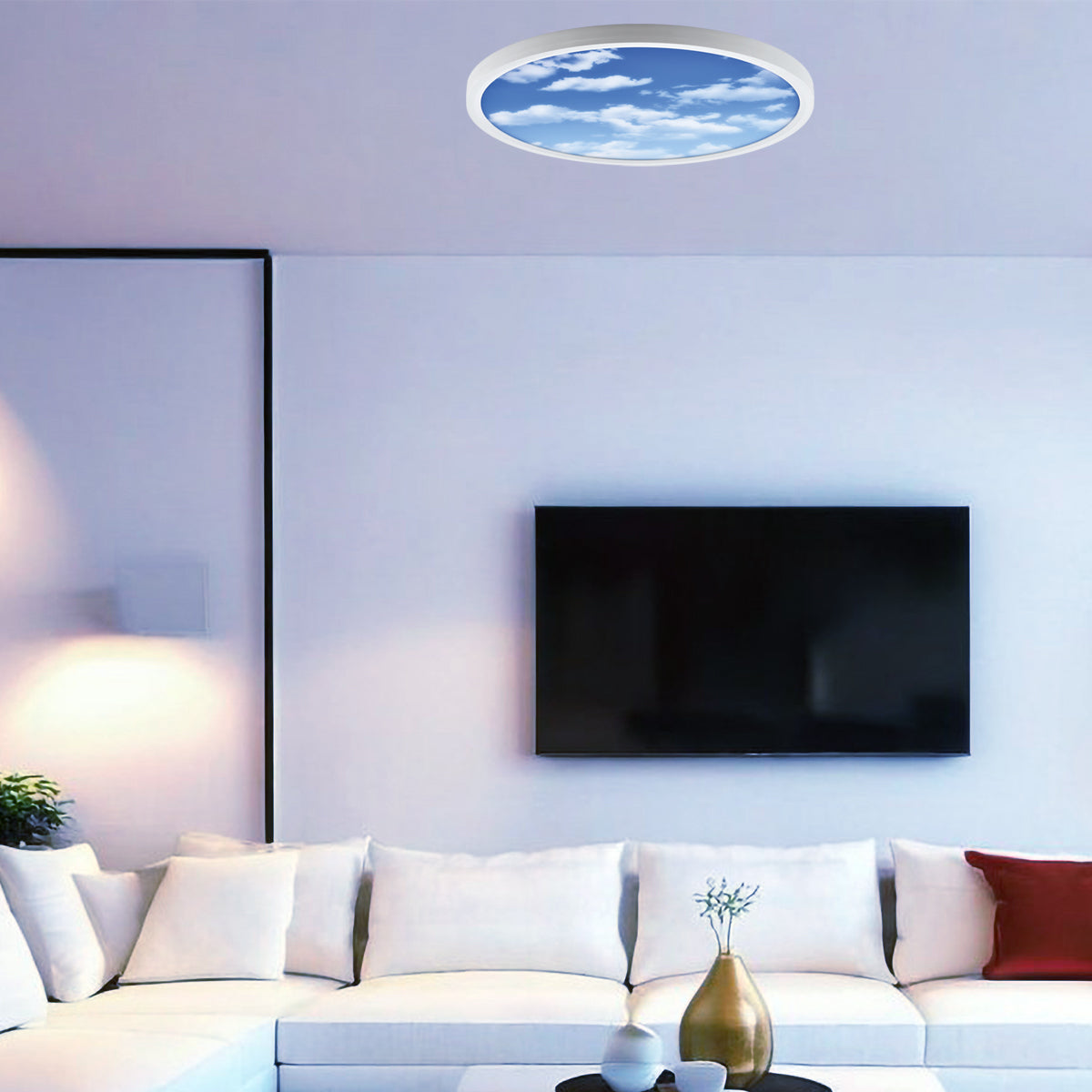 Ener-j E313 Surface mounted SKY LED Ceiling Light, 24W