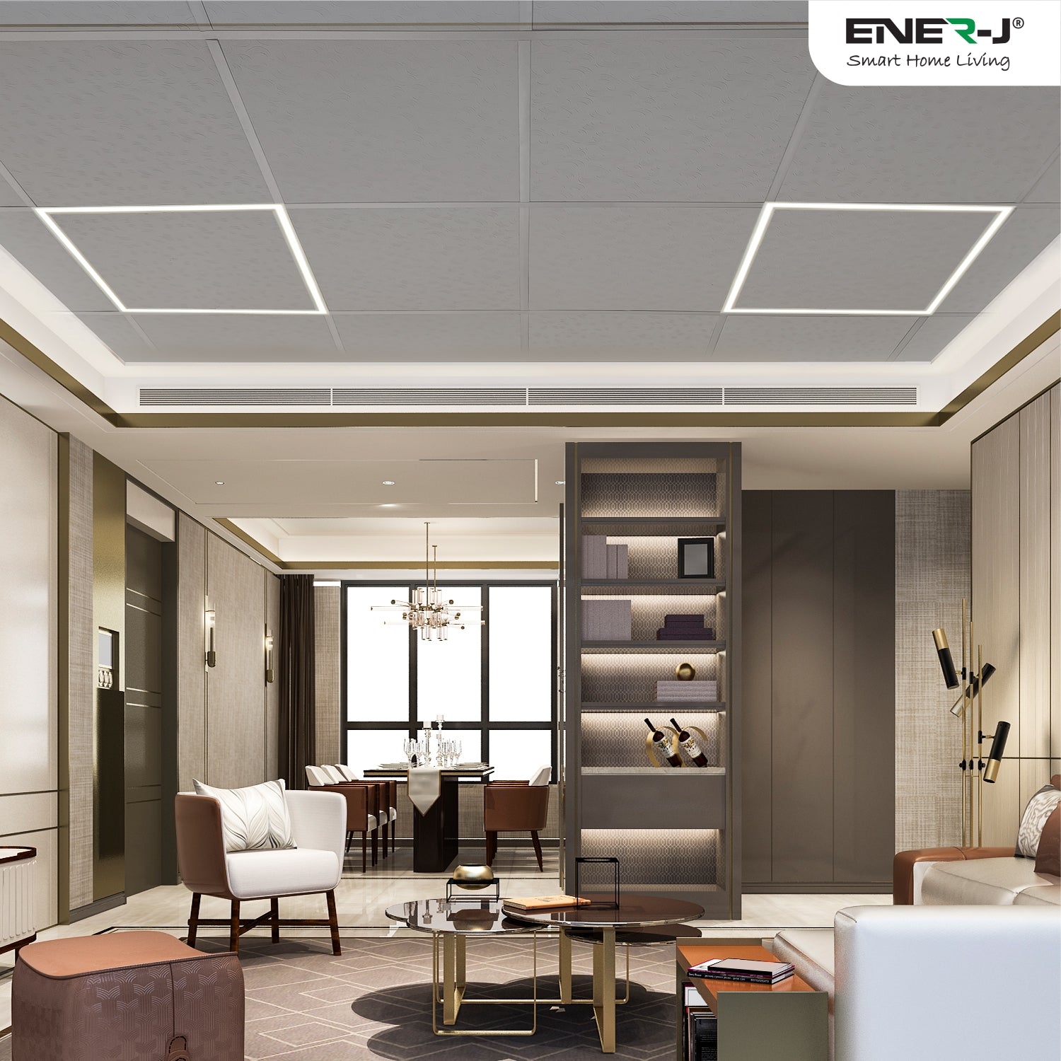 Ener-j T162 LED Borderline Panel 60x60 40W 4000 Lumens, CCT Switchable (6500K-4000K-3000K) Pack of 2