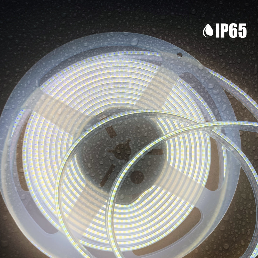 Ener-j T480 24V COB LED Strip Lights with 320 LEDs/M, 10W/M, 1100lm/M, CRI 90-92, 5m Roll, 6000K, IP65