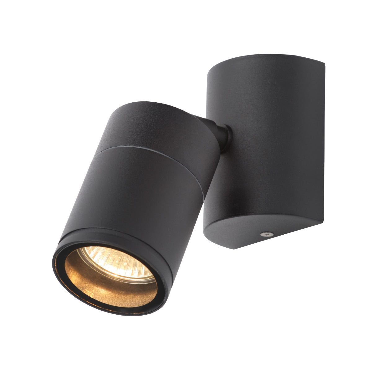 Forum CZ-29321-BLK Islay Adjustable Outdoor Wall Light, Black