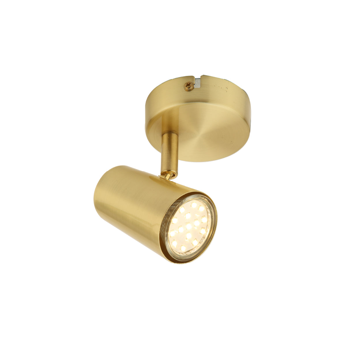 Forum INL-31775-SBRS Harvey Spotlight 1 Light Satin Brass