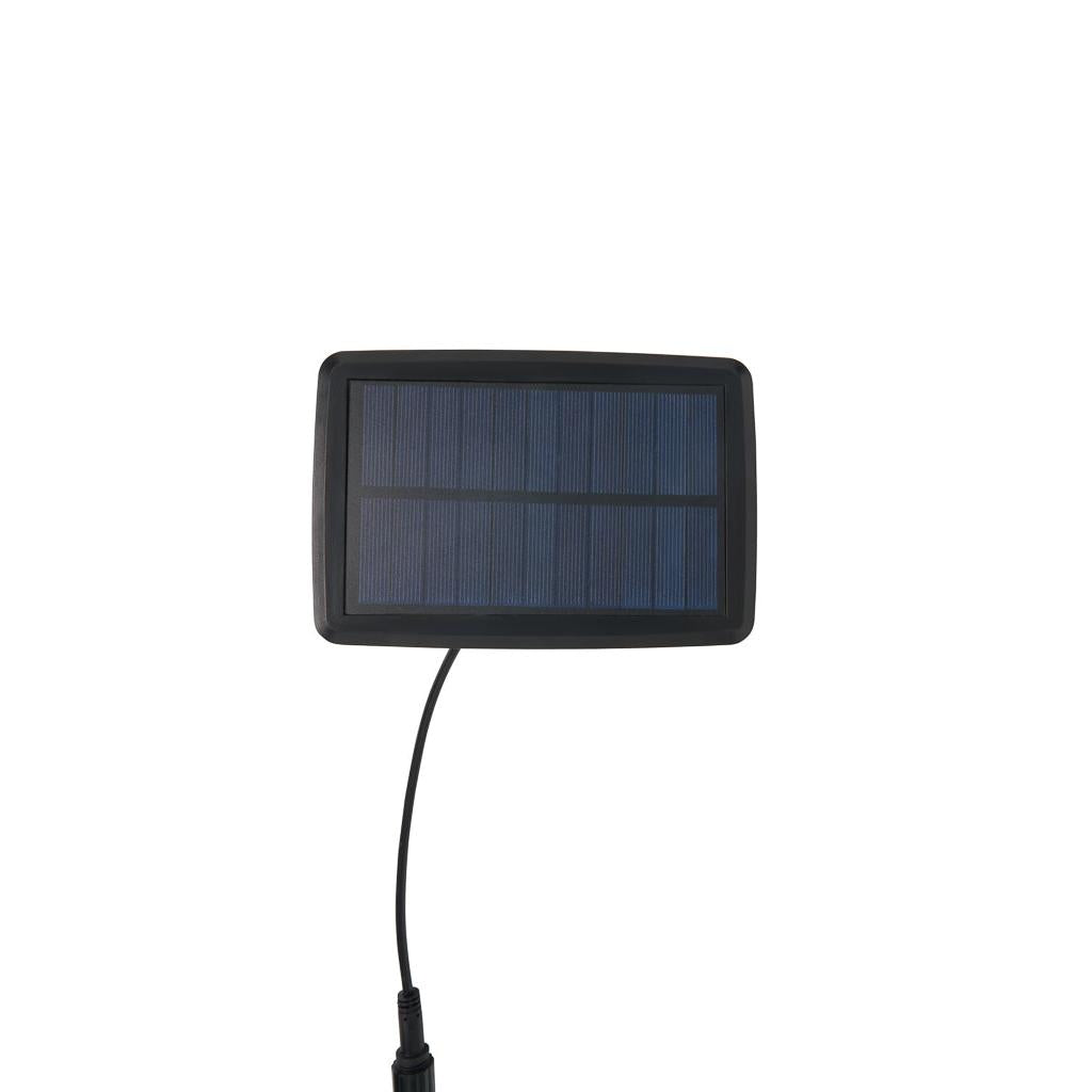 Forum ZN-42229 Wye 10 Light Outdoor Solar Festoon Lights - Black