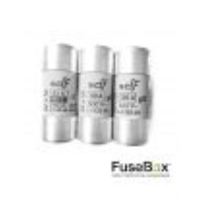 FuseBox SFO100RA Fused Switch with 100A Type A RCD