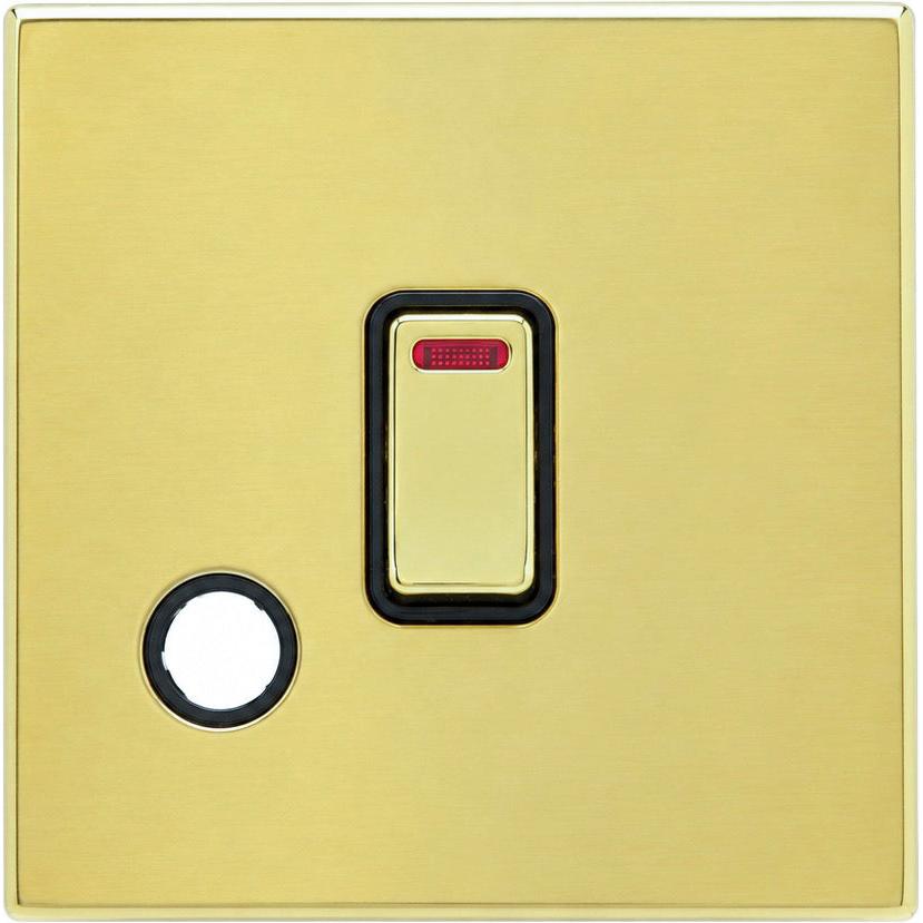 Hamilton 71CDPNCPB-B Hartland CFX Polished Brass 1 gang 20AX Double Pole Rocker and Neon and Cable Outlet Polished Brass/Black