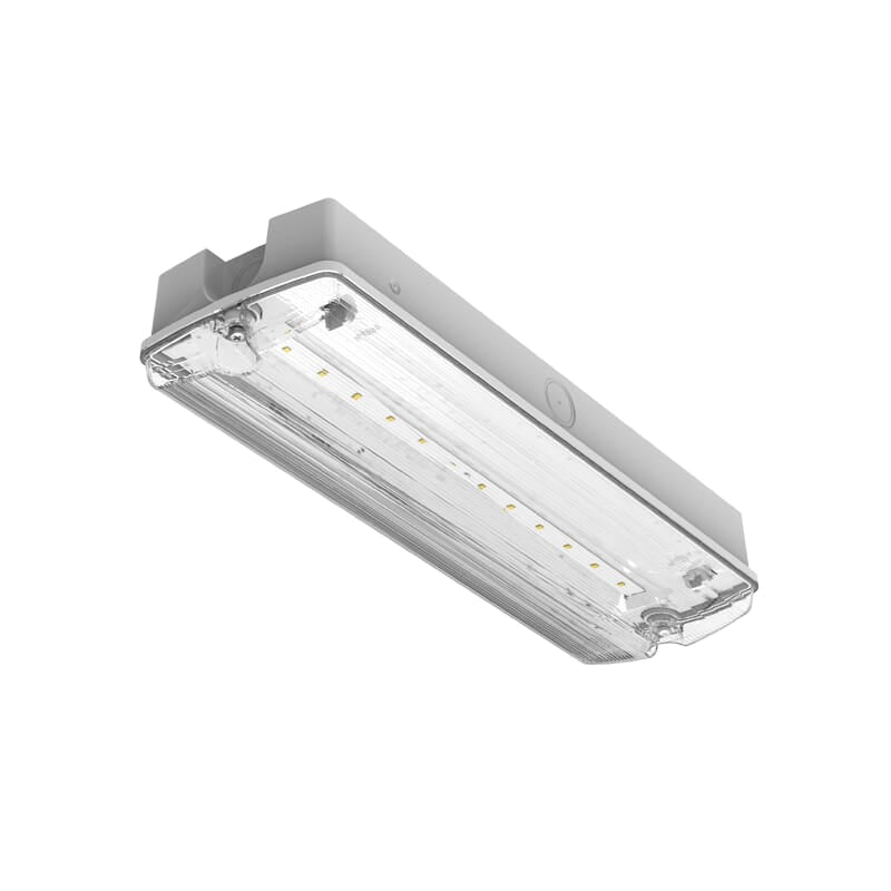 Lumineux 430390 Darwell 3W Emergncy LED Bulkhead