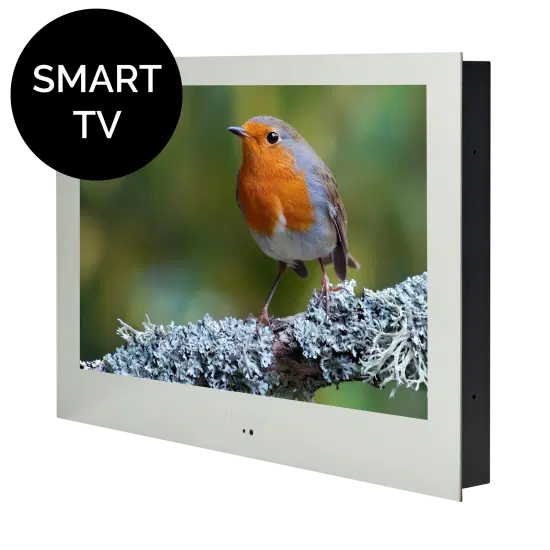 ProofVision PVB19MW 19inch Smart Bathroom TV with WebOS - Mirror
