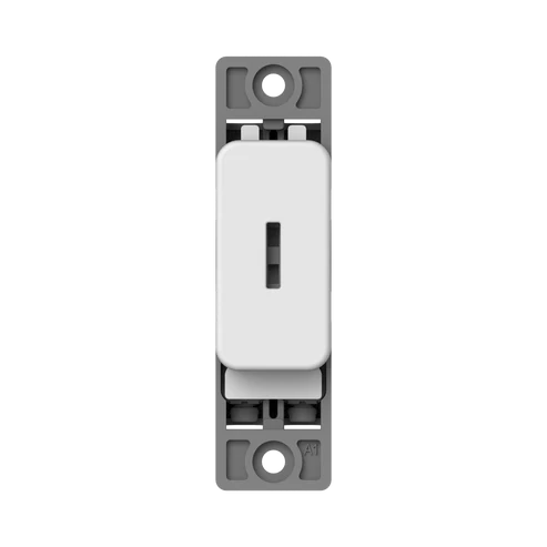 Thrion VN6303 10A Double Pole Key Switch Module