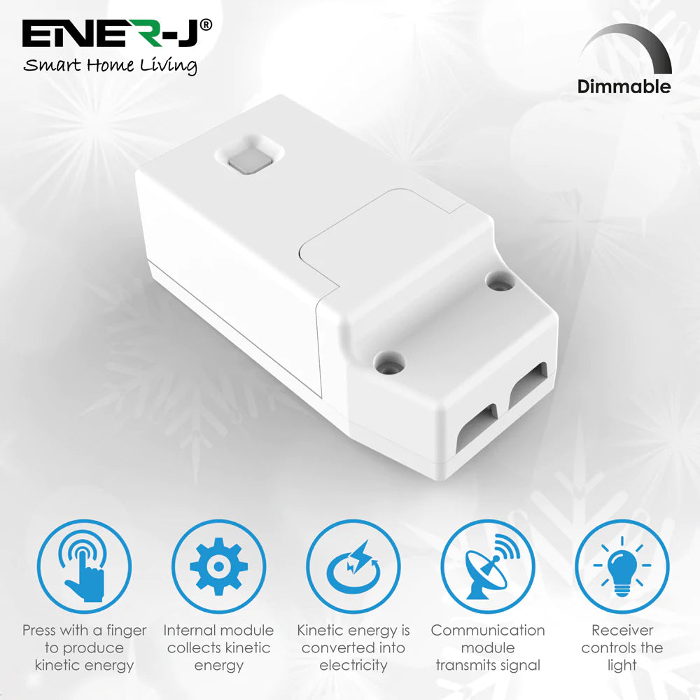 Enerj WS1039 150W RF Receiver for Dimmable Pro Series