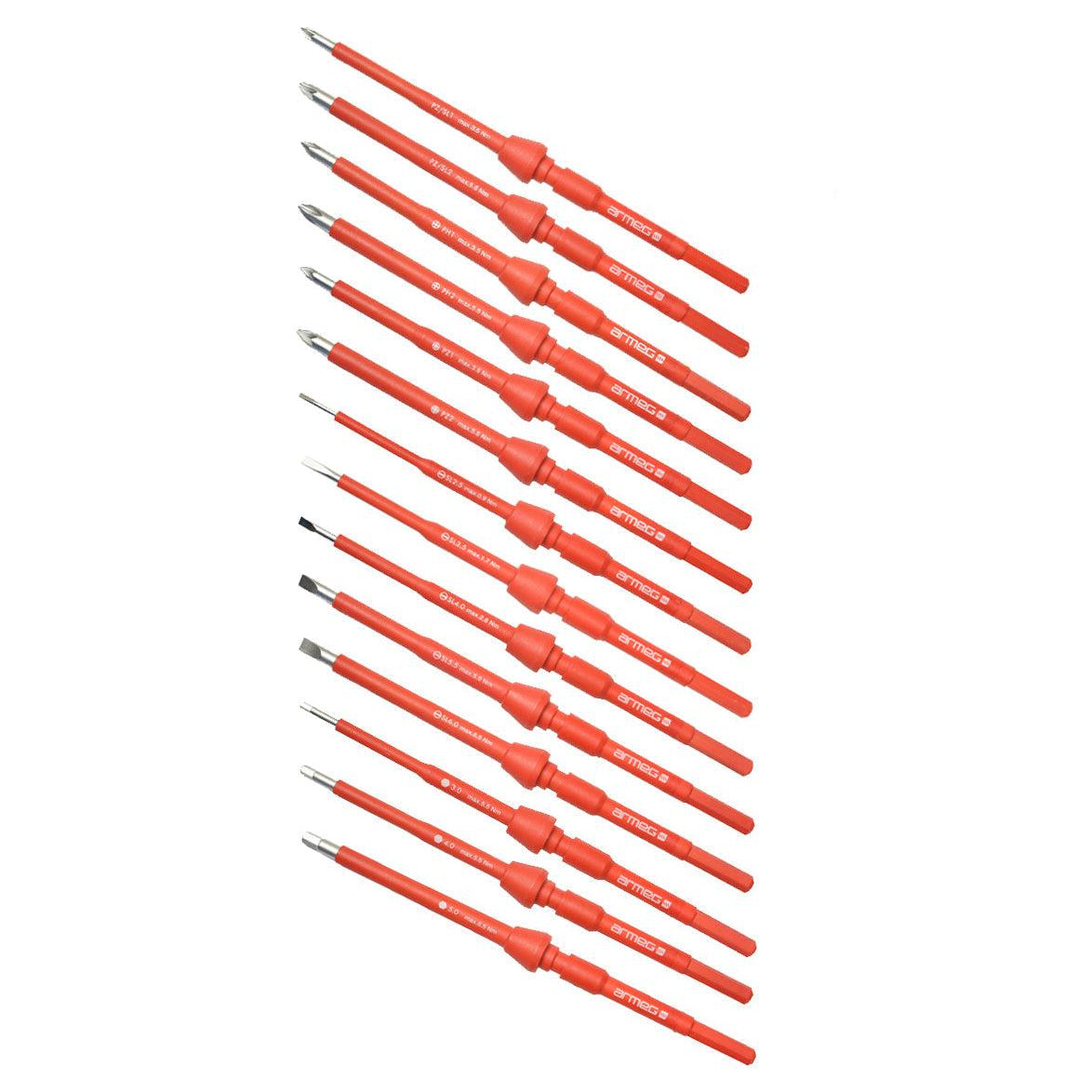 Armeg SDICBT30 30 VDE Torx Interchangeable Screwdriver Blade