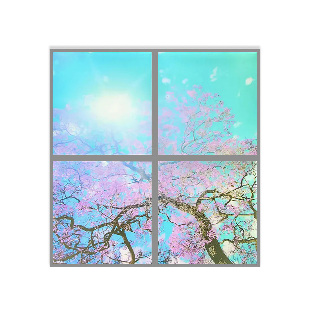 Ener-j E153 600x600mm SKY Panel with Cherry blossom trees 2D Effect Pack of 4