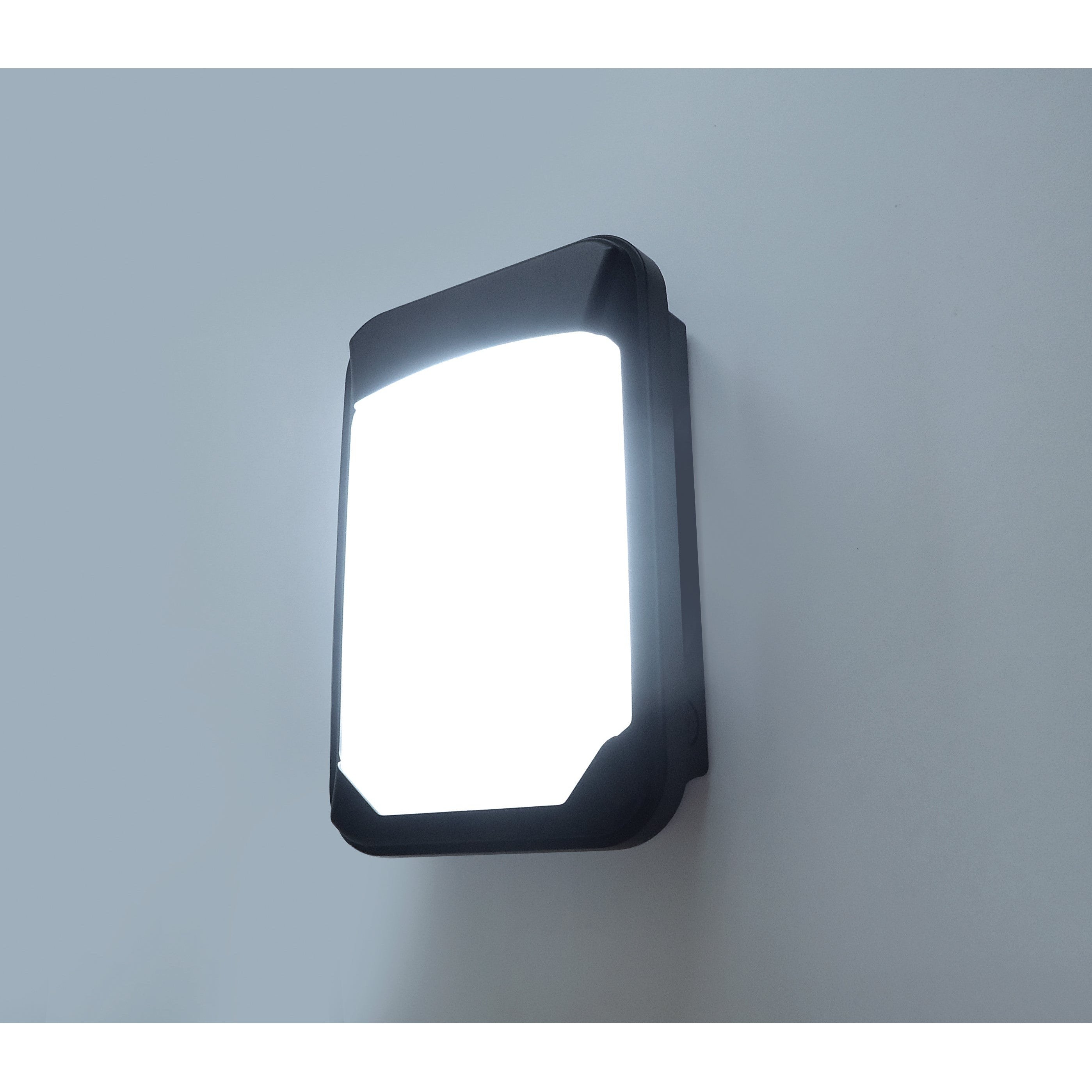 Eterna WPCSBK 17W LED Bulkhead Colour Selectable IP65