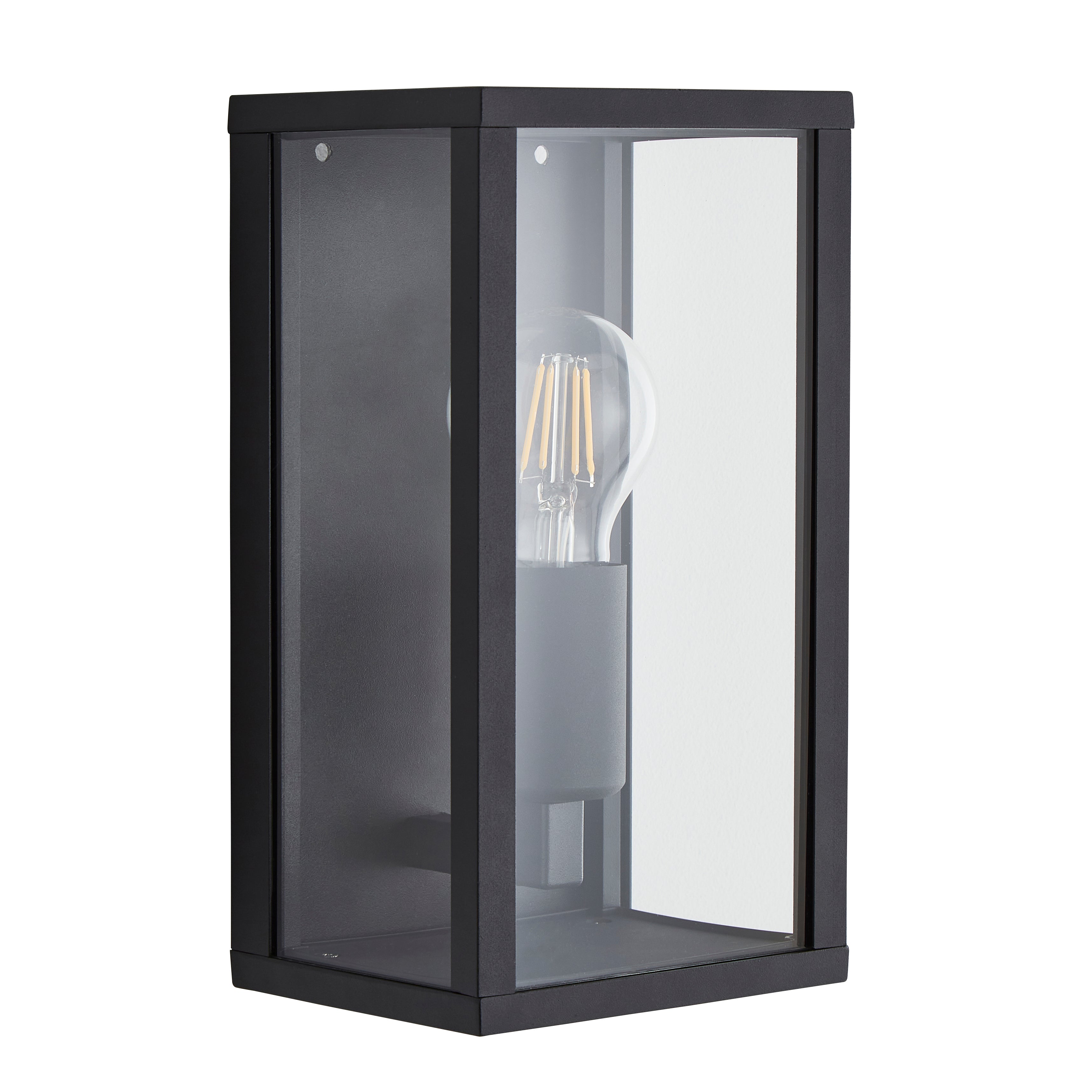 Forum ZN-38640-MBLK Chinon Outdoor Glass Panel Wall Light, Black