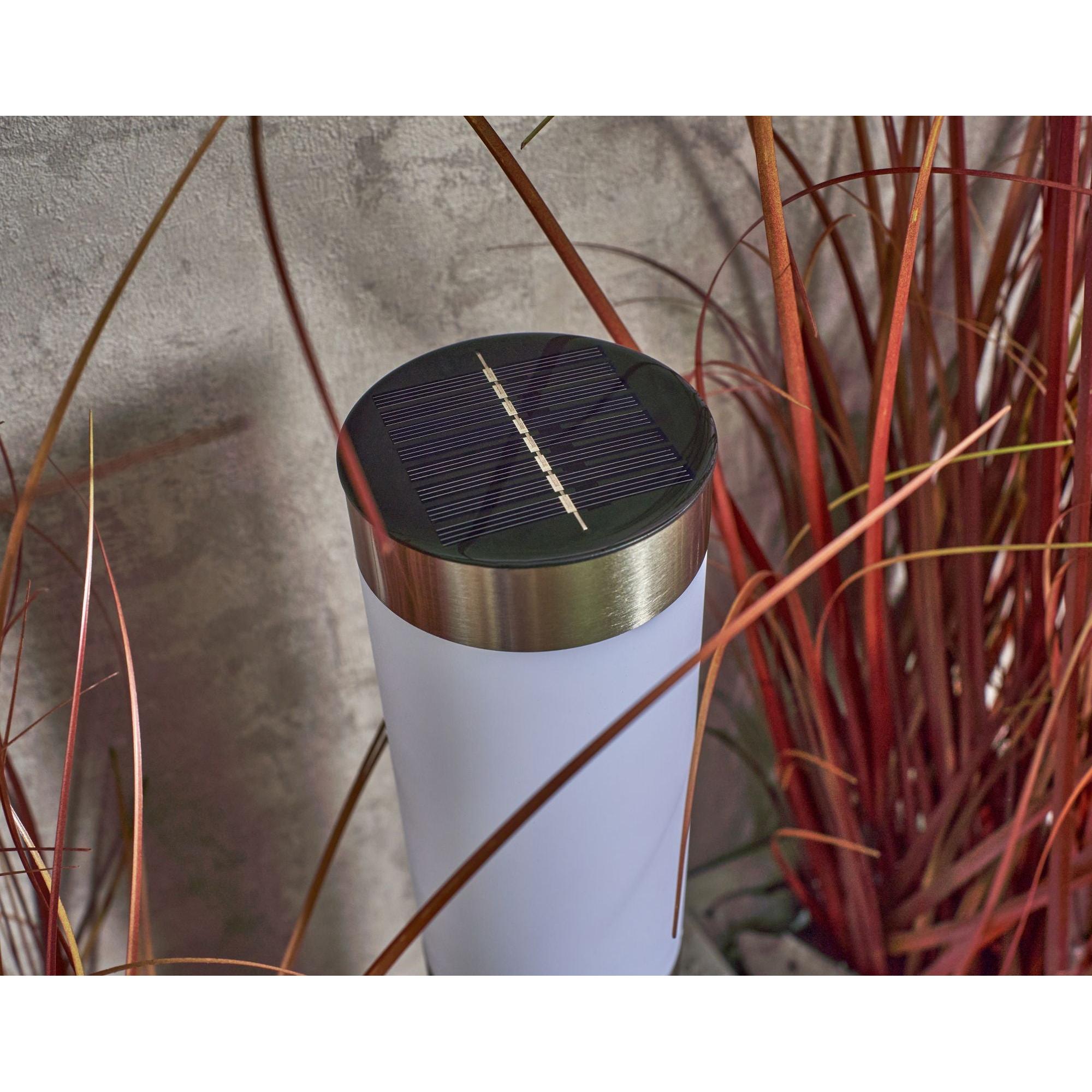 Forum ZN-42044 Creswell Outdoor Solar LED Spike Light - Stainless Steel