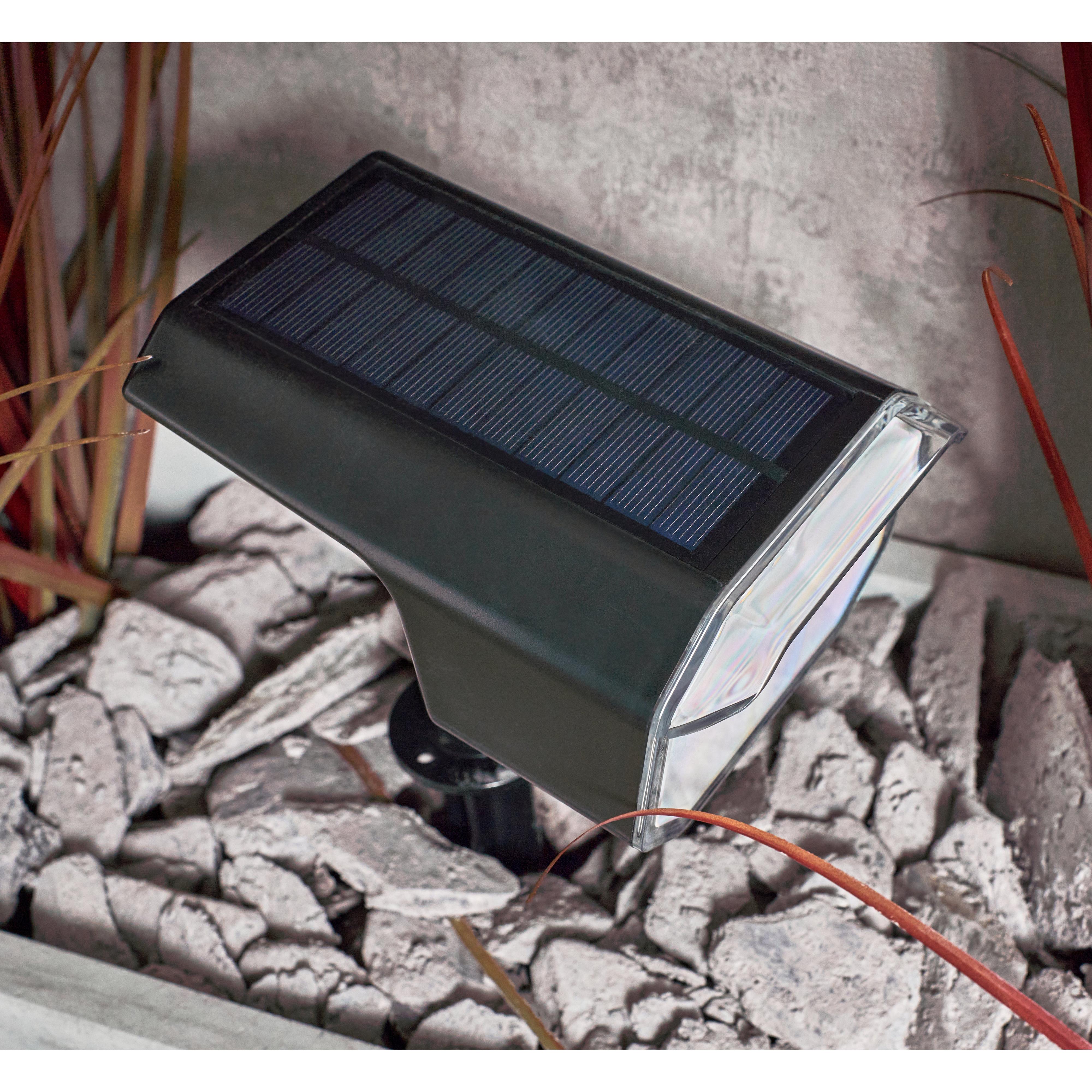 Forum ZN-42050 Byermoor Outdoor Solar LED Smart Spike Light - Black