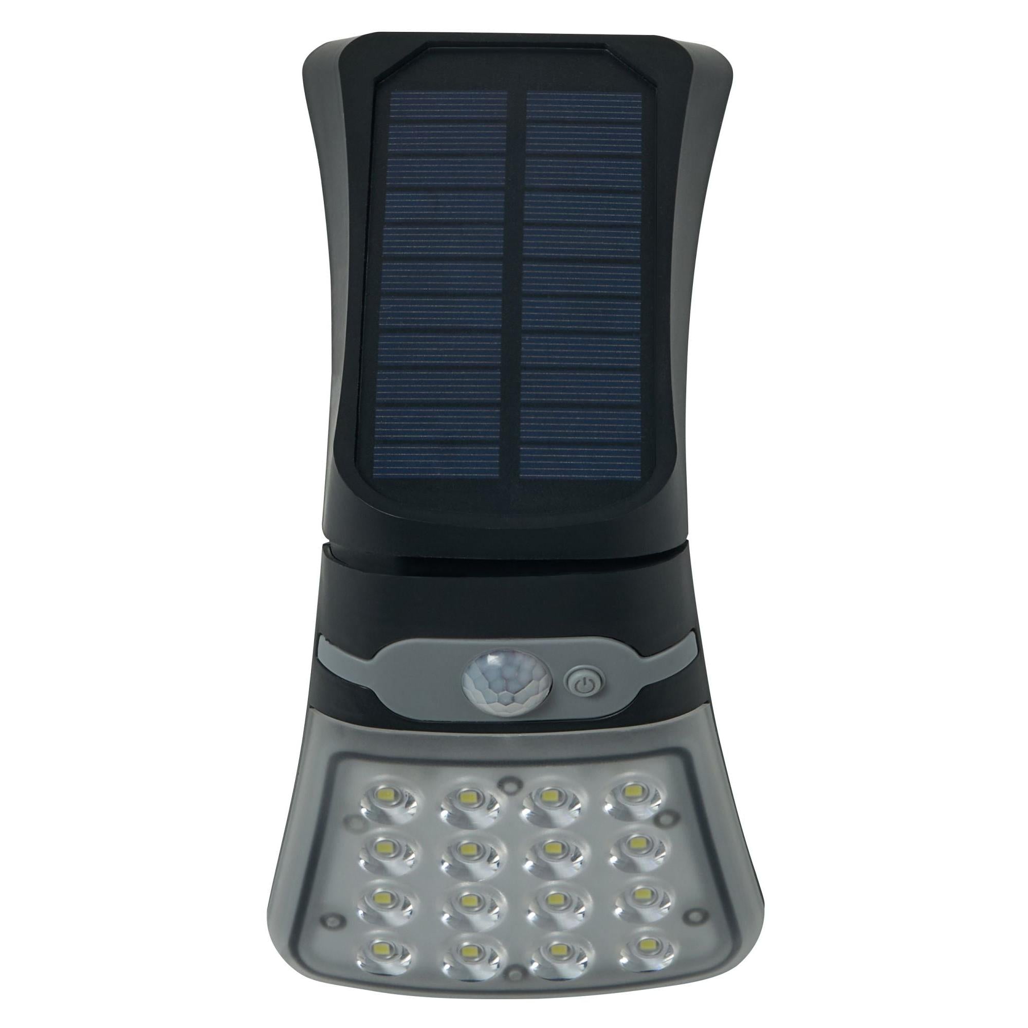 Forum ZN-42054 Blackhall 2 Watt Outdoor Solar LED Flood Light with Sensor - Black