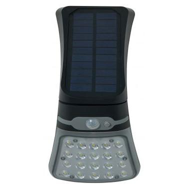 Forum ZN-42055 Blackhall 4 Watt Outdoor Solar LED Flood Light with Sensor - Black