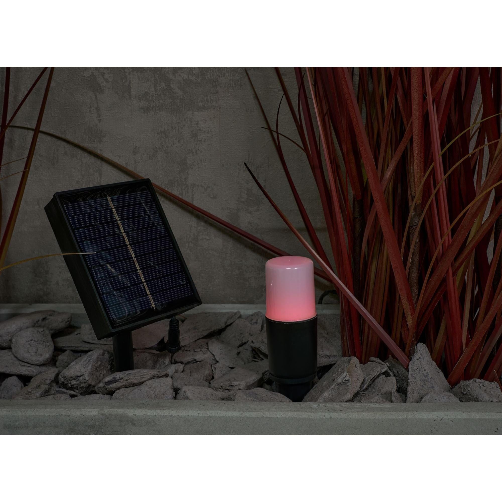 Forum ZN-42059 Daw Outdoor Solar RGB LED Garden Path Spike Lights Kit - Black Pack of 4