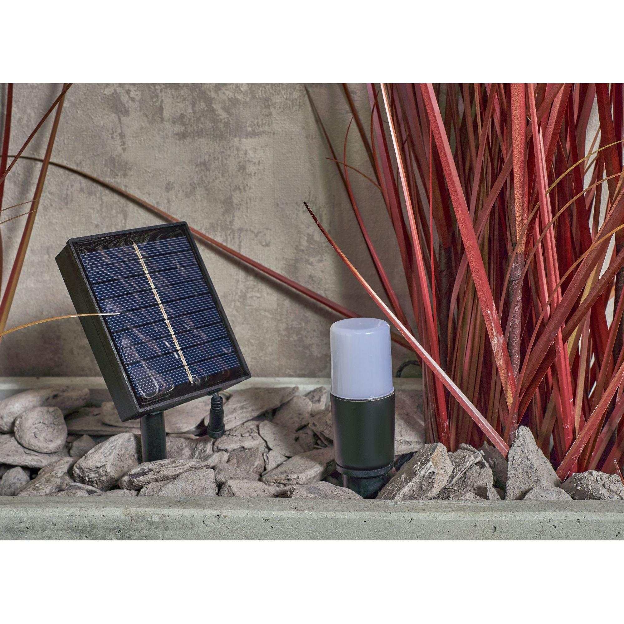 Forum ZN-42059 Daw Outdoor Solar RGB LED Garden Path Spike Lights Kit - Black Pack of 4