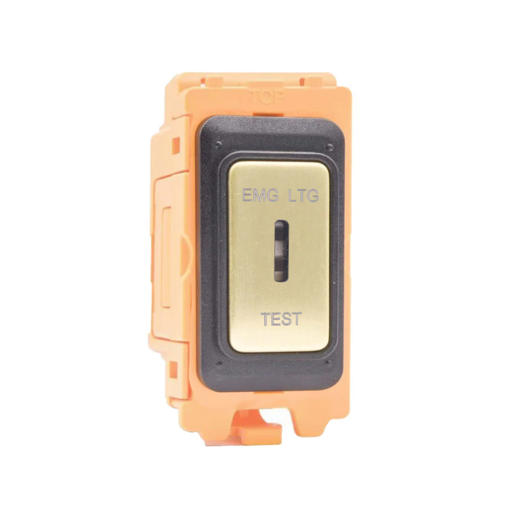 GRID-IT FL FLKDPEL-SB 20AX Double Pole Key Switch EMG LTG TEST Module + Bezel with Satin Brass/Black/White Inserts