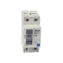 Lewden 100/100/2SA 100A 100mA 2 Pole RCD