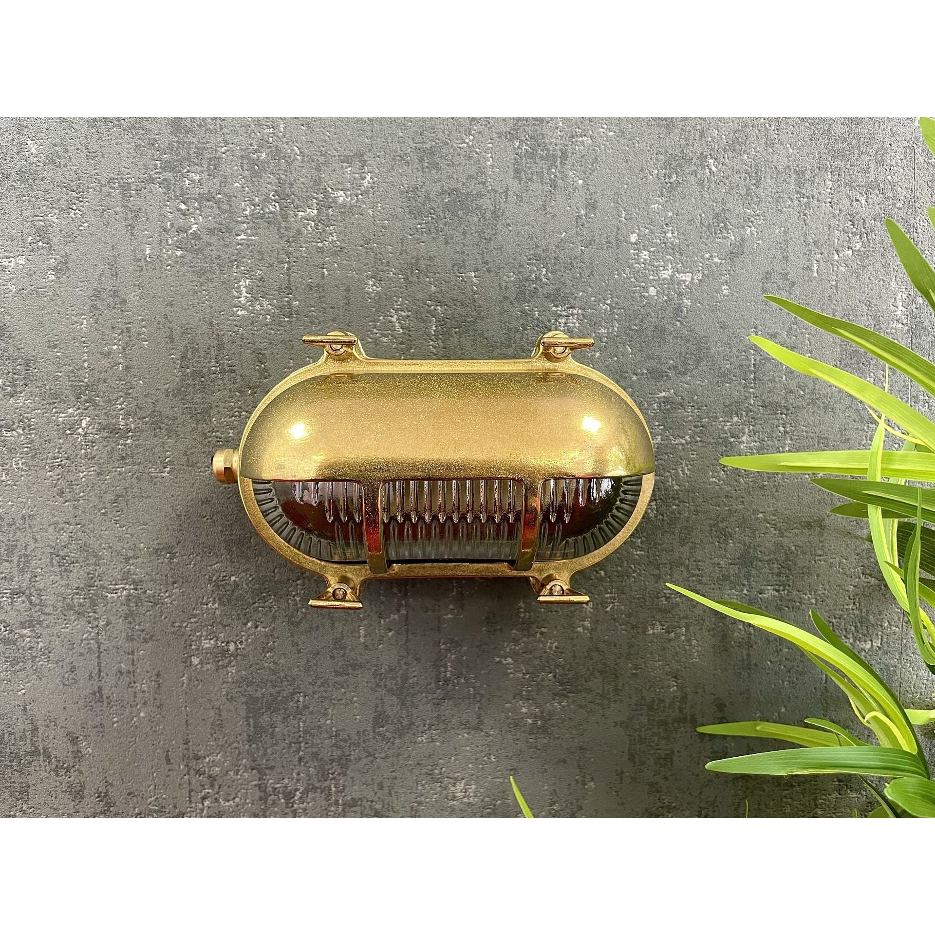 Navigator Palaemon Eyelid Bulkhead