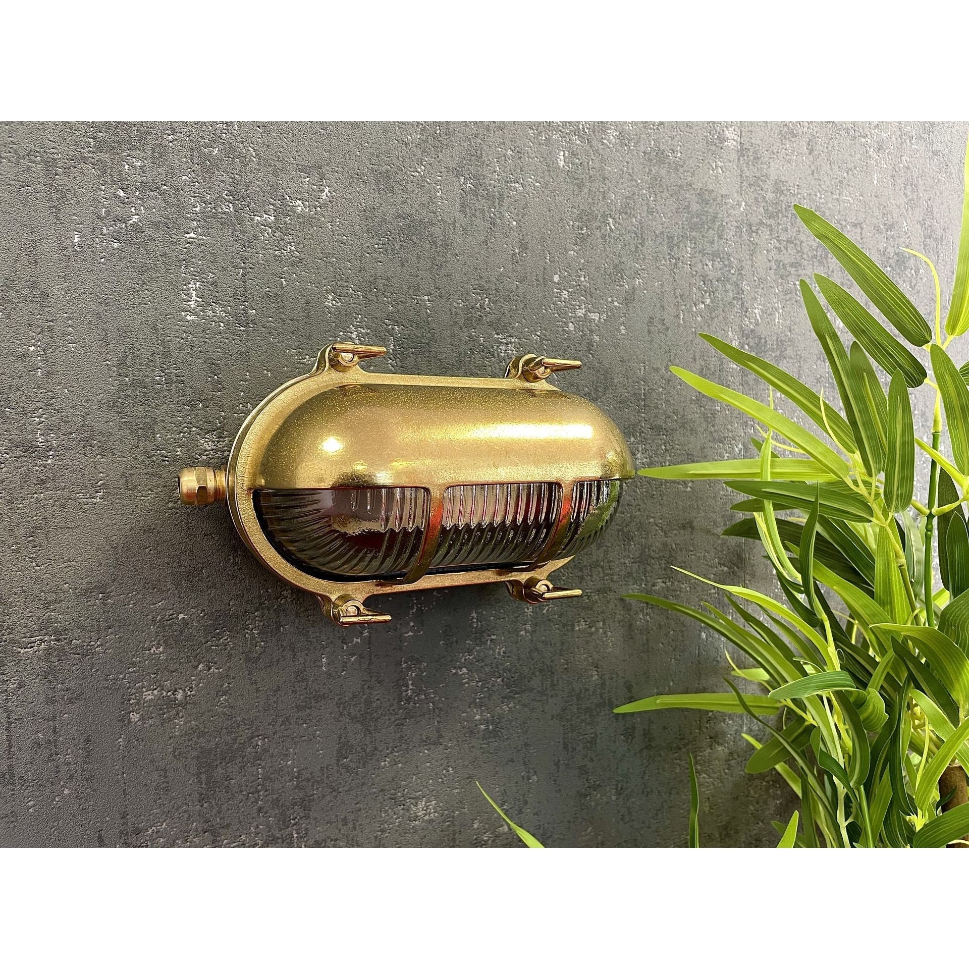 Navigator Palaemon Eyelid Bulkhead